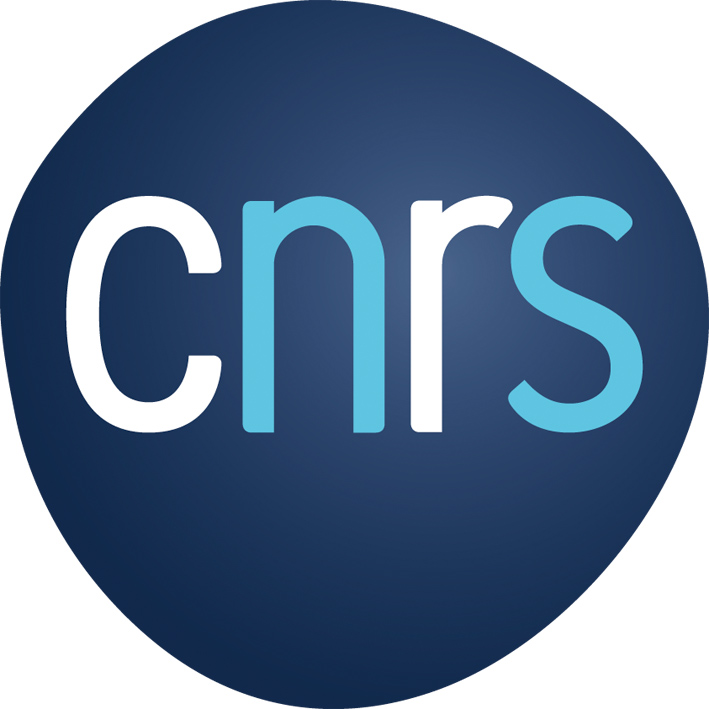 Logo du CNRS Logo du CNRS